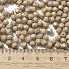 Picasso Baking Paint Glass Seed Beads X1-SEED-A032-02A-21-4