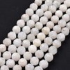 Natural Rainbow Moonstone Beads Strands G-K323-20B-2