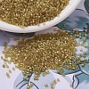 MIYUKI Delica Beads SEED-J020-DB0911-1