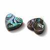 Abalone Shell/Paua Shell Beads SHEL-T005-01-3