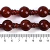 Natural Carnelian 3-Hole Guru Beads Strands G-H064-E08-02A-5