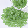 6/0 Transparent Glass Seed Beads SEED-S027-04B-11-1