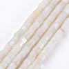 Natural Freshwater Shell Beads Strands SHEL-N027-09-1