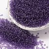 15/0 Glass Seed Beads SEED-J013-F15-13-1