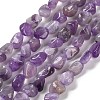 Natural Amethyst(Dyed & Heated) Beads Strands G-P497-01E-17-1