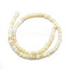 Dyed Natural Weathered Agate Beads Strands G-F583-11G-2