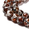 Natural Tibetan Turtle Back Pattern dZi Agate Beads Strands G-B079-A02-02-4