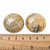 Natural Crazy Agate Cabochons G-C115-02B-23-3