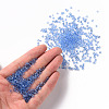 Glass Seed Beads SEED-US0003-3mm-6-4