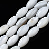 Natural Freshwater Shell Beads Strands SHEL-Q024-021-1