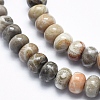 Natural Fossil Coral Beads Strands G-K256-10A-3