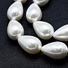 Electroplate Shell Pearl Beads Strands BSHE-G010-12x16mm-01-4