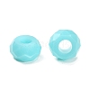 Resin European Beads RESI-B020-06C-2