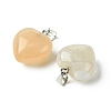 Natural Botswana Agate Pendants G-F820-10A-12-2