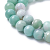 Natural Dyed Agate Imitation Turquoise Beads Strands G-P425-02C-10mm-3