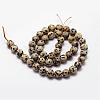 Natural Dalmatian Jasper Beads Strands G-D840-49-8mm-2