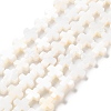 Natural Freshwater Shell Beads Strands SSHEL-B002-11-1