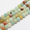 Natural Flower Amazonite Beads Strands X-G-F415-8mm-1