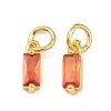 Brass Micro Pave Cubic Zirconia Charms ZIRC-F111-03G-14-1