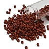 TOHO 6/0 Round Beads SEED-XTR06-0046L-1