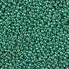 TOHO 11/0 Round Beads SEED-TR11-PF0561-2