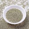 MIYUKI Delica Beads X-SEED-J020-DB1831-2