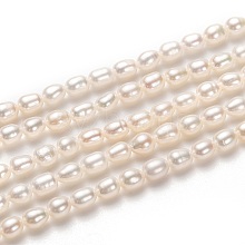 Natural Cultured Freshwater Pearl Beads Strands PEAR-L033-59