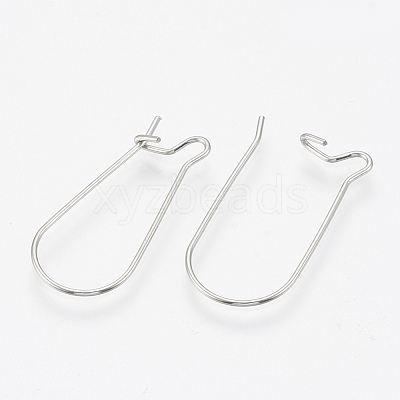 Tarnish Resistant 304 Stainless Steel Hoop Earrings X-STAS-T031-01-1