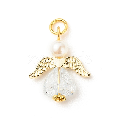 Transparent Acrylic Pendants PALLOY-JF01561-1