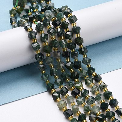Natural Moss Agate Beads Strands G-P463-10-1