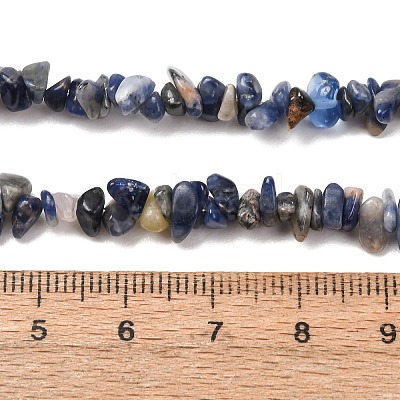Natural Sodalite Chips Beads Strands F024-1