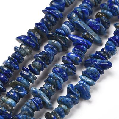 Natural Lapis Lazuli Chip Bead Strands X-G-M205-14-1