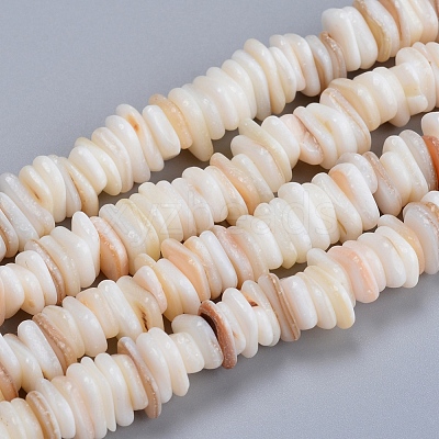 Natural Freshwater Shell Beads Strands SHEL-D078-01B-1