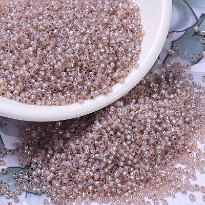MIYUKI Round Rocailles Beads X-SEED-G007-RR0579-1
