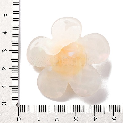 Acrylic Pendants OACR-Q055-03A-1