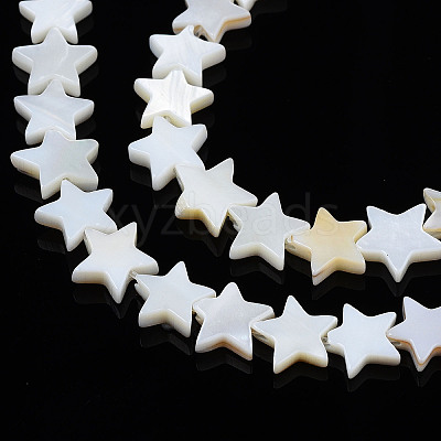 Natural Freshwater Shell Beads Strands X-SHEL-S278-01B-01-1