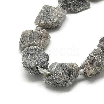 Natural Labradorite Beads Strands G-R421-09-1