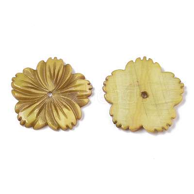 Natural Freshwater Shell Beads SHEL-N026-10-1