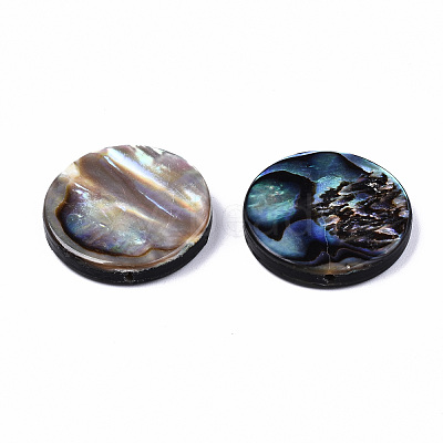 Natural Abalone Shell/Paua Shell Beads SSHEL-T014-14E-1