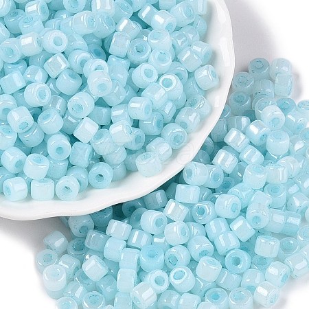 Glass Seed Beads SEED-T008-01F-1