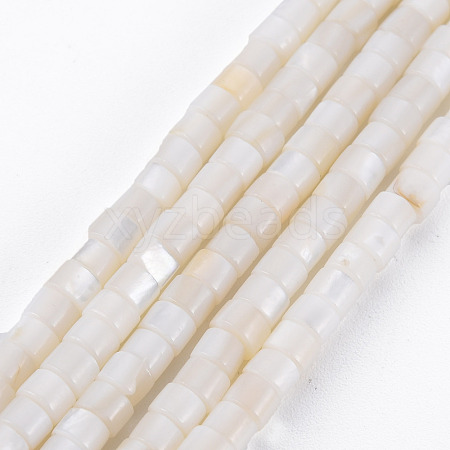 Natural Freshwater Shell Beads Strands SHEL-N027-09-1