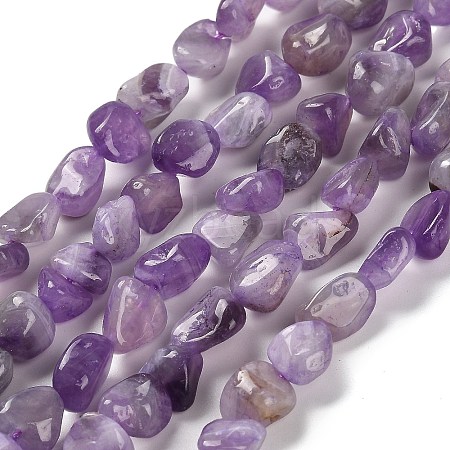 Natural Amethyst(Dyed & Heated) Beads Strands G-P497-01E-17-1