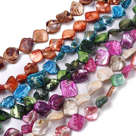 Natural Shell Beads BSHE-B003-18-1