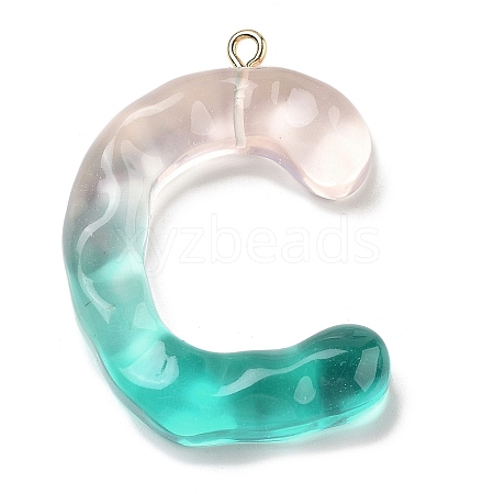 Resin Pendant FIND-Q107-01C-01-1