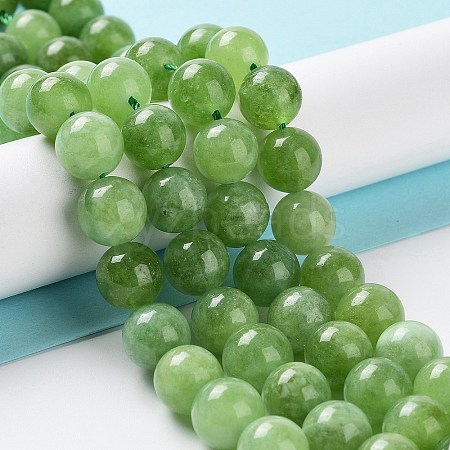 Dyed Natural Malaysia Jade Beads Strands G-G021-02C-04-1