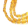 Natural Amber Beads Strands G-K387-G01-01-3