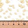 Baking Painted Glass Seed Beads SEED-C004-04A-4