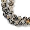 Natural Dalmatian Jasper Beads Strands G-A257-A17-01-4