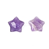 Natural Amethyst Charms G-H241-04D-4