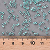 11/0 FGB Grade A Transparent Glass Seed Beads X-SEED-N001-F-257-3